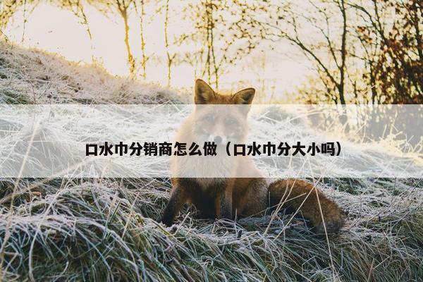 口水巾分销商怎么做（口水巾分大小吗）