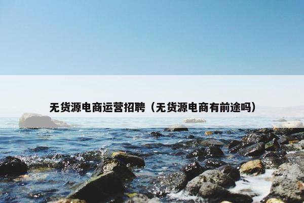 无货源电商运营招聘（无货源电商有前途吗）