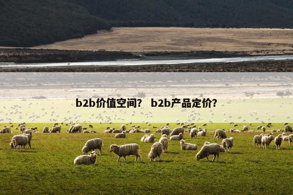 b2b价值空间？ b2b产品定价？