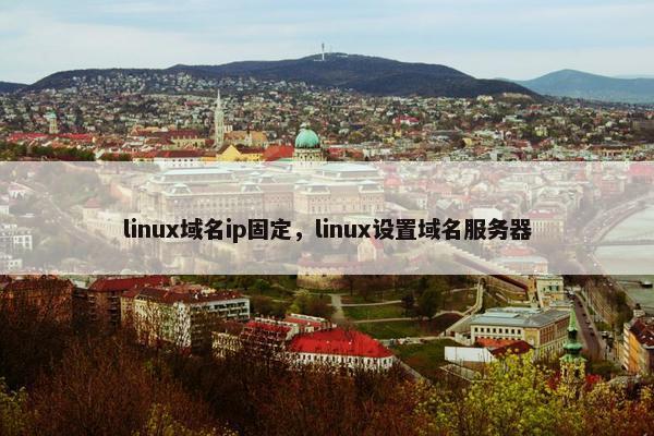 linux域名ip固定，linux设置域名服务器
