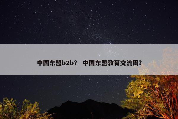 中国东盟b2b？ 中国东盟教育交流周？
