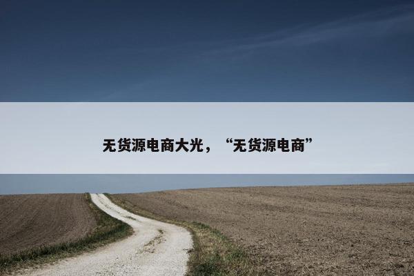无货源电商大光，“无货源电商”