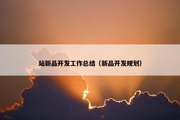站新品开发工作总结（新品开发规划）