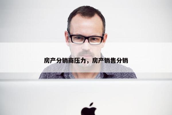 房产分销商压力，房产销售分销