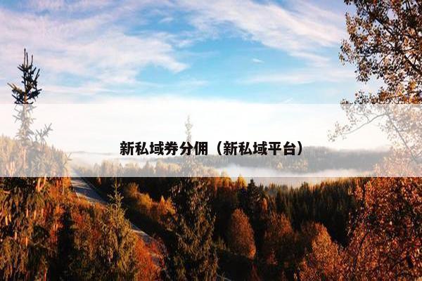新私域券分佣（新私域平台）