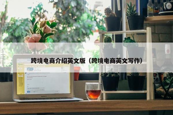 跨境电商介绍英文版（跨境电商英文写作）