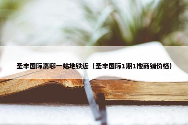 圣丰国际离哪一站地铁近（圣丰国际1期1楼商铺价格）
