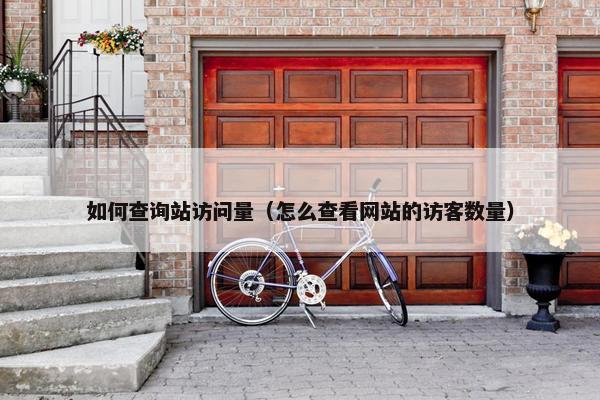 如何查询站访问量（怎么查看网站的访客数量）
