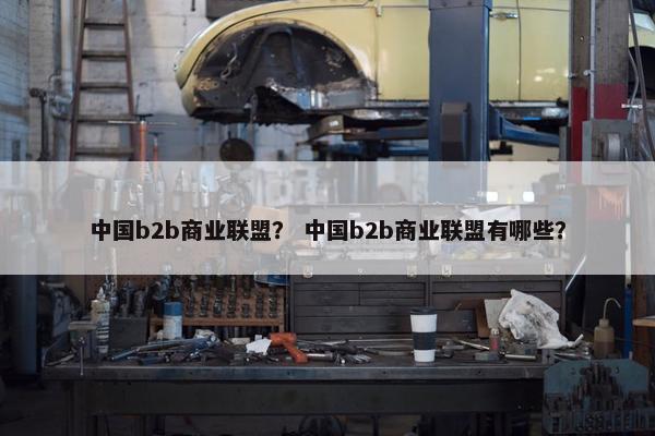 中国b2b商业联盟？ 中国b2b商业联盟有哪些？