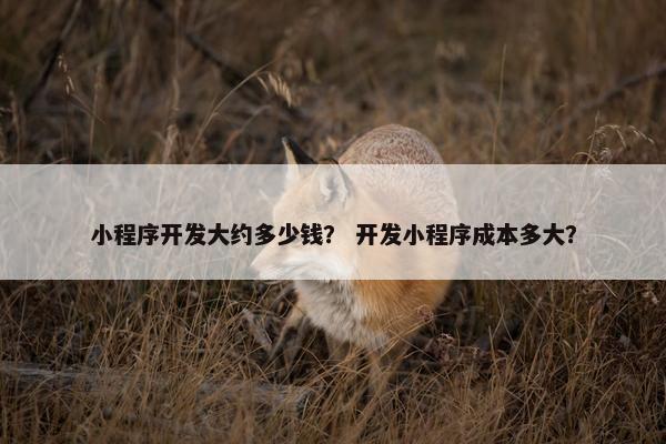 小程序开发大约多少钱？ 开发小程序成本多大？