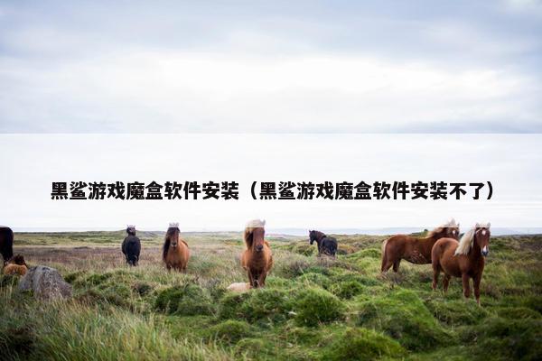 黑鲨游戏魔盒软件安装（黑鲨游戏魔盒软件安装不了）