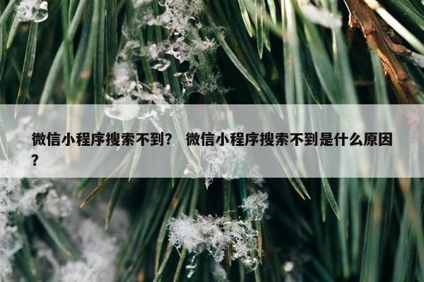 微信小程序搜索不到？ 微信小程序搜索不到是什么原因？