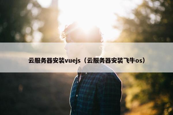 云服务器安装vuejs（云服务器安装飞牛os）