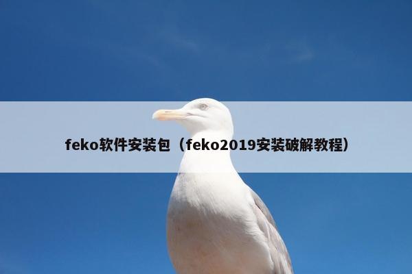 feko软件安装包（feko2019安装破解教程）