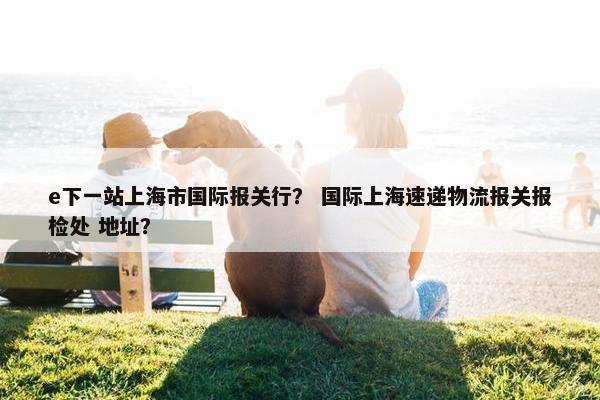 e下一站上海市国际报关行？ 国际上海速递物流报关报检处 地址？