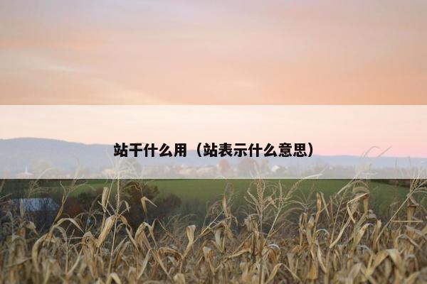 站干什么用（站表示什么意思）