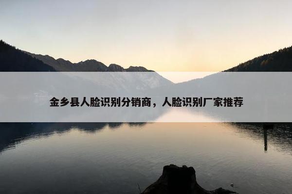 金乡县人脸识别分销商，人脸识别厂家推荐