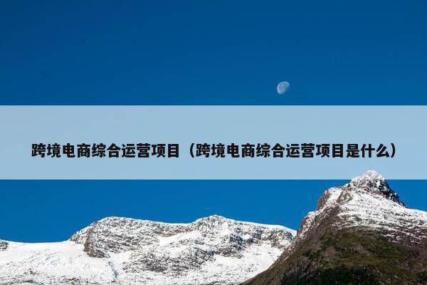 跨境电商综合运营项目（跨境电商综合运营项目是什么）