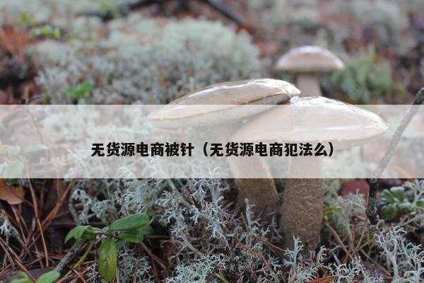 无货源电商被针（无货源电商犯法么）