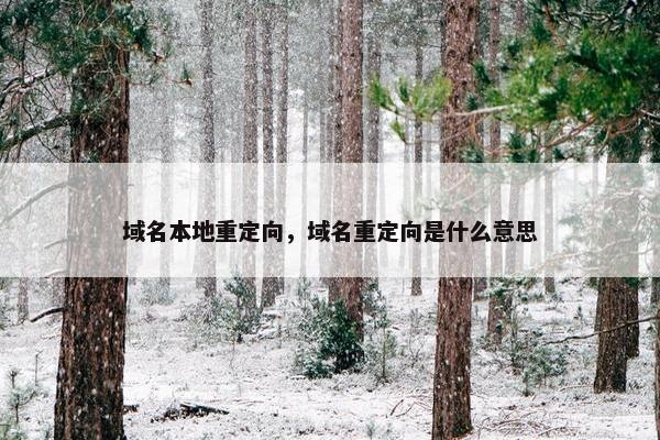 域名本地重定向，域名重定向是什么意思