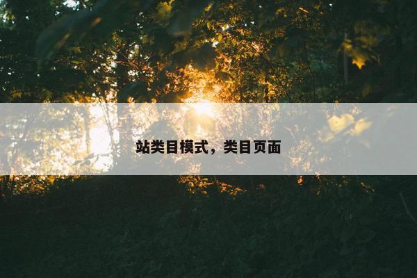 站类目模式，类目页面