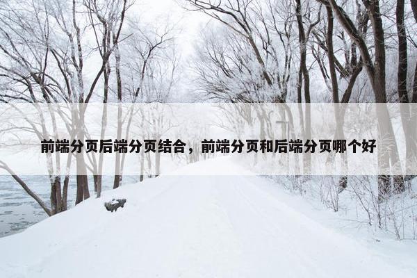 前端分页后端分页结合，前端分页和后端分页哪个好