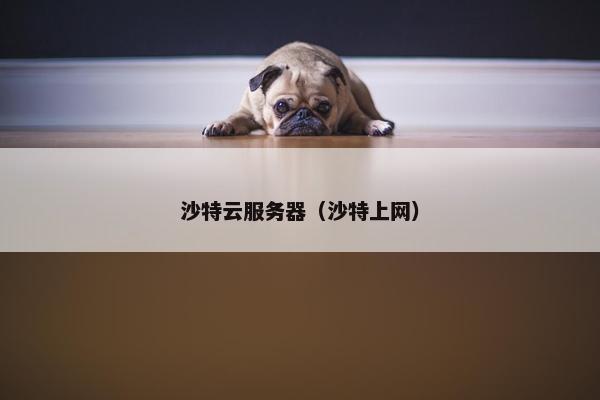 沙特云服务器（沙特上网）