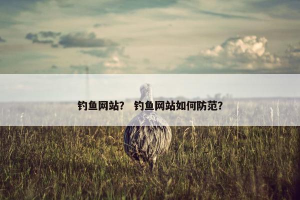 钓鱼网站？ 钓鱼网站如何防范？
