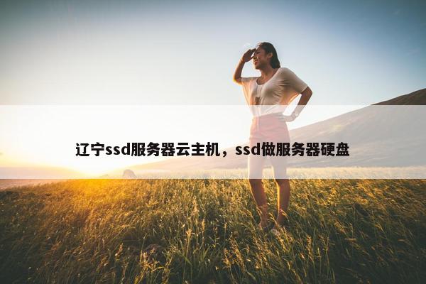 辽宁ssd服务器云主机，ssd做服务器硬盘
