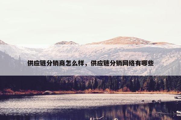 供应链分销商怎么样，供应链分销网络有哪些