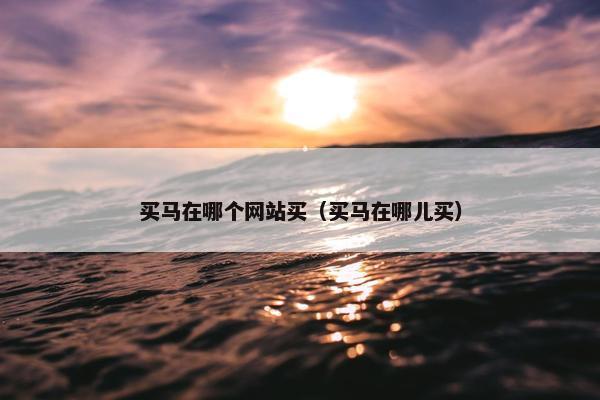 买马在哪个网站买（买马在哪儿买）