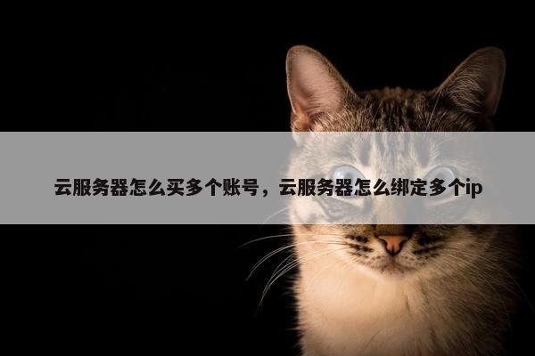 云服务器怎么买多个账号，云服务器怎么绑定多个ip