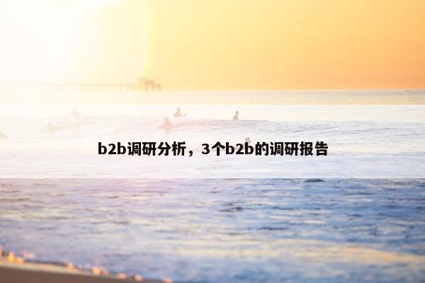 b2b调研分析，3个b2b的调研报告