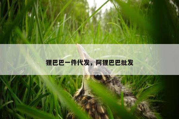狸巴巴一件代发，阿狸巴巴批发