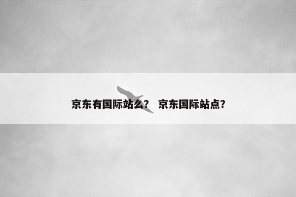 京东有国际站么？ 京东国际站点？