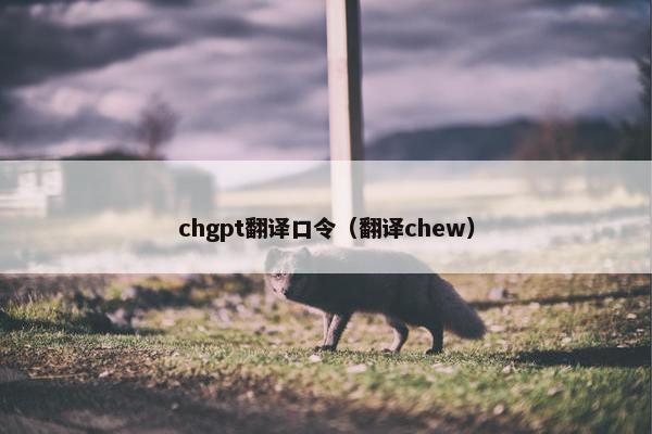 chgpt翻译口令（翻译chew）