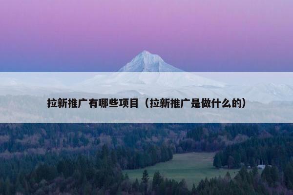 拉新推广有哪些项目（拉新推广是做什么的）
