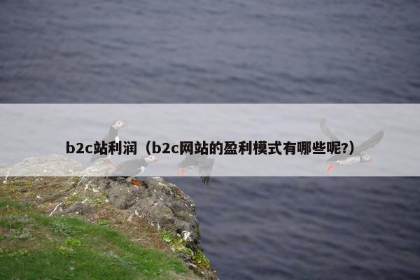 b2c站利润（b2c网站的盈利模式有哪些呢?）