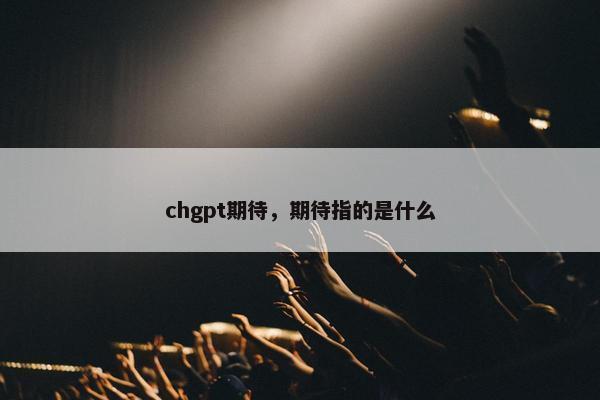 chgpt期待，期待指的是什么
