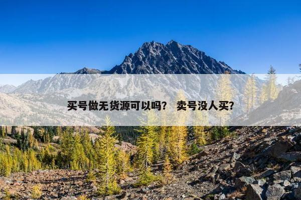 买号做无货源可以吗？ 卖号没人买？