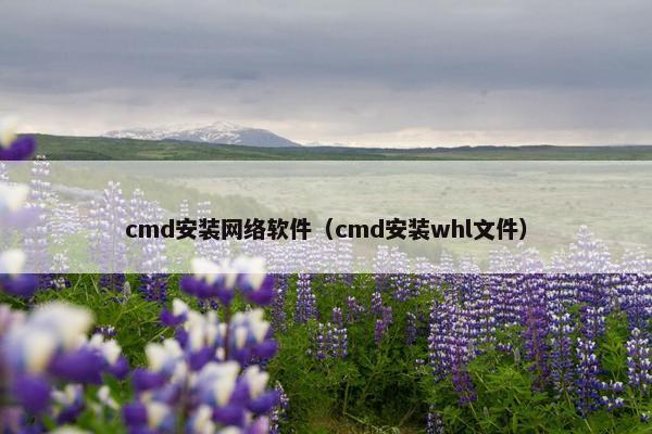 cmd安装网络软件（cmd安装whl文件）