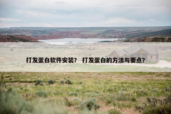 打发蛋白软件安装？ 打发蛋白的方法与要点？