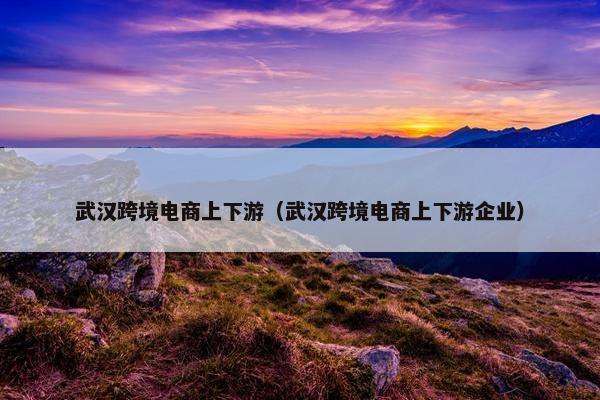 武汉跨境电商上下游（武汉跨境电商上下游企业）