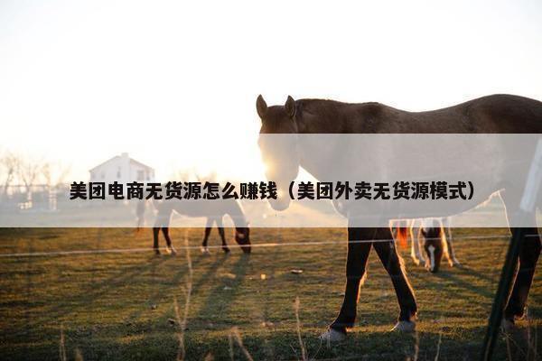 美团电商无货源怎么赚钱（美团外卖无货源模式）