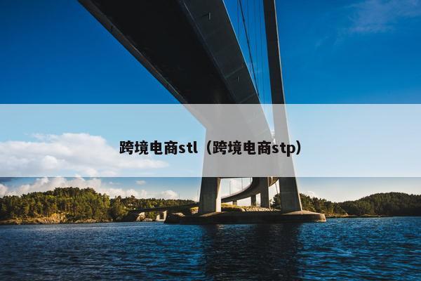 跨境电商stl（跨境电商stp）
