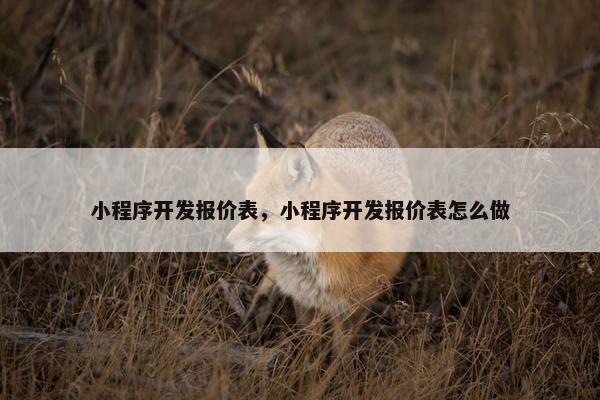 小程序开发报价表，小程序开发报价表怎么做