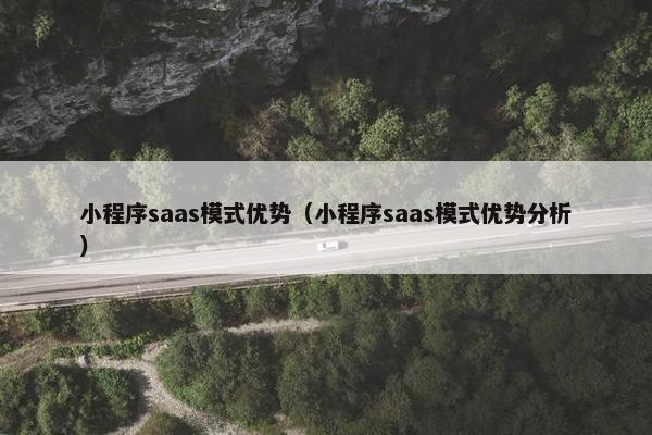 小程序saas模式优势（小程序saas模式优势分析）