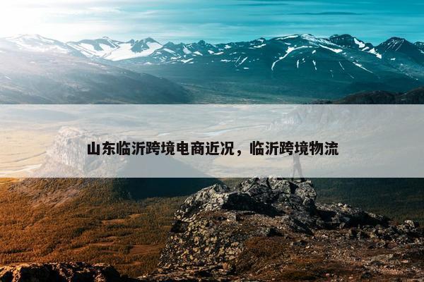 山东临沂跨境电商近况，临沂跨境物流