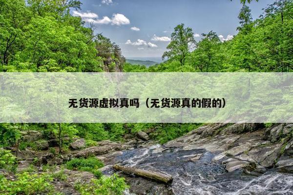 无货源虚拟真吗（无货源真的假的）