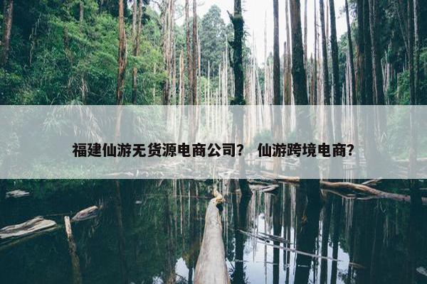 福建仙游无货源电商公司？ 仙游跨境电商？